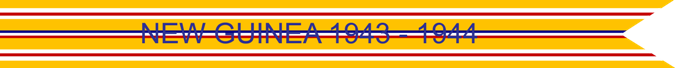 NEW GUINEA 1943-1944 US AIR FORCE CAMPAIGN STREAMER